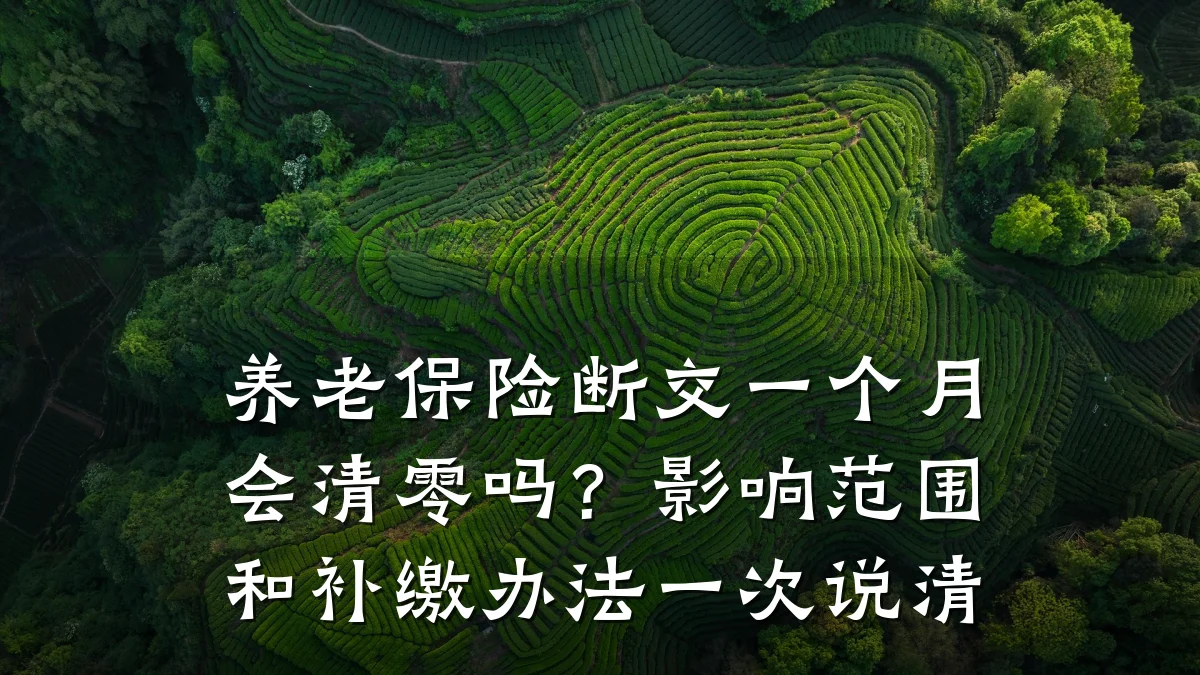 养老保险断交一个月会清零吗？影响范围和补缴办法一次说清