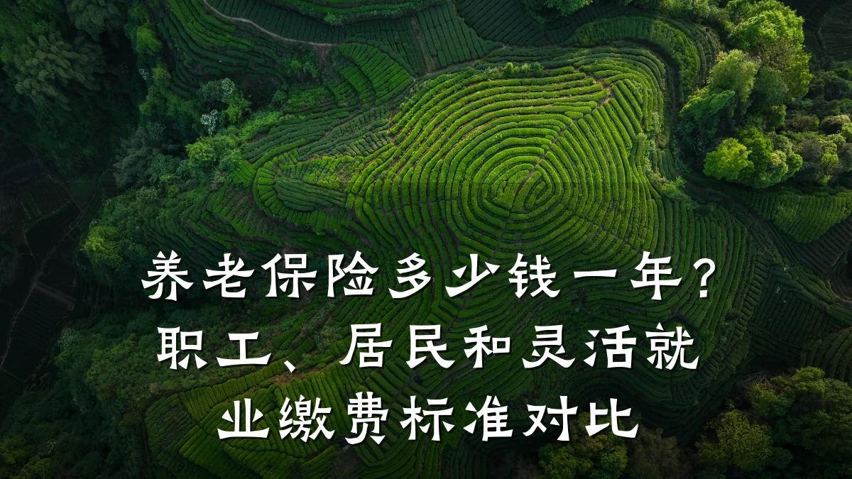 养老保险多少钱一年？职工、居民和灵活就业缴费标准对比