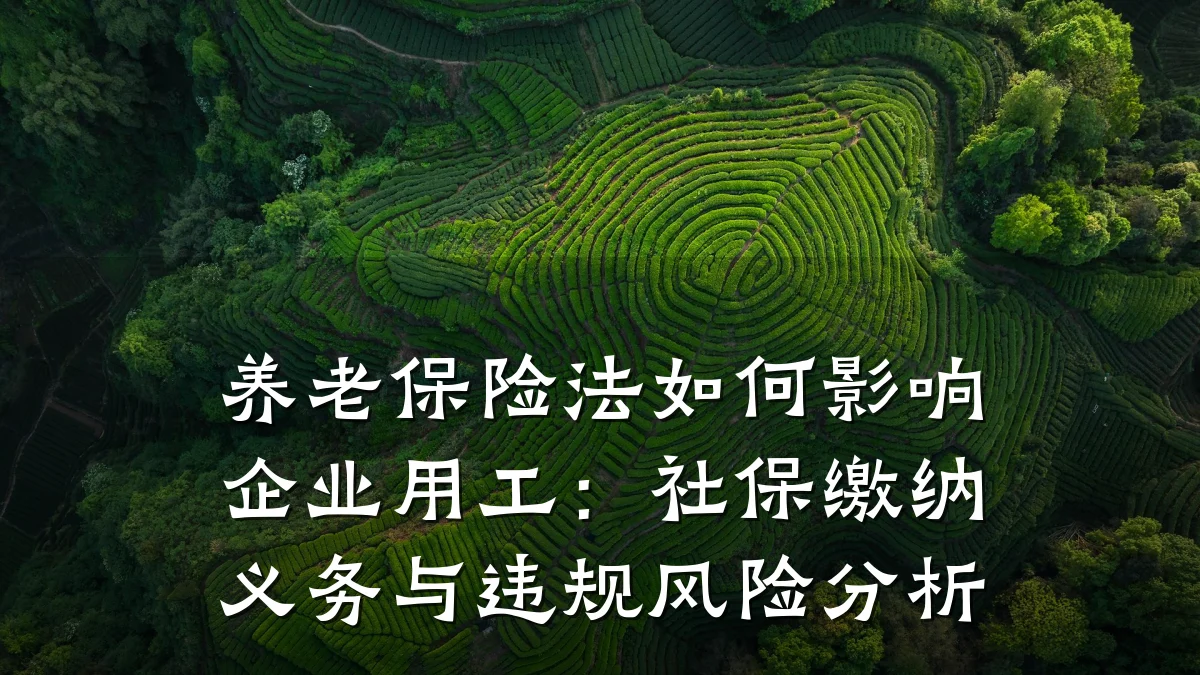 养老保险法如何影响企业用工：社保缴纳义务与违规风险分析
