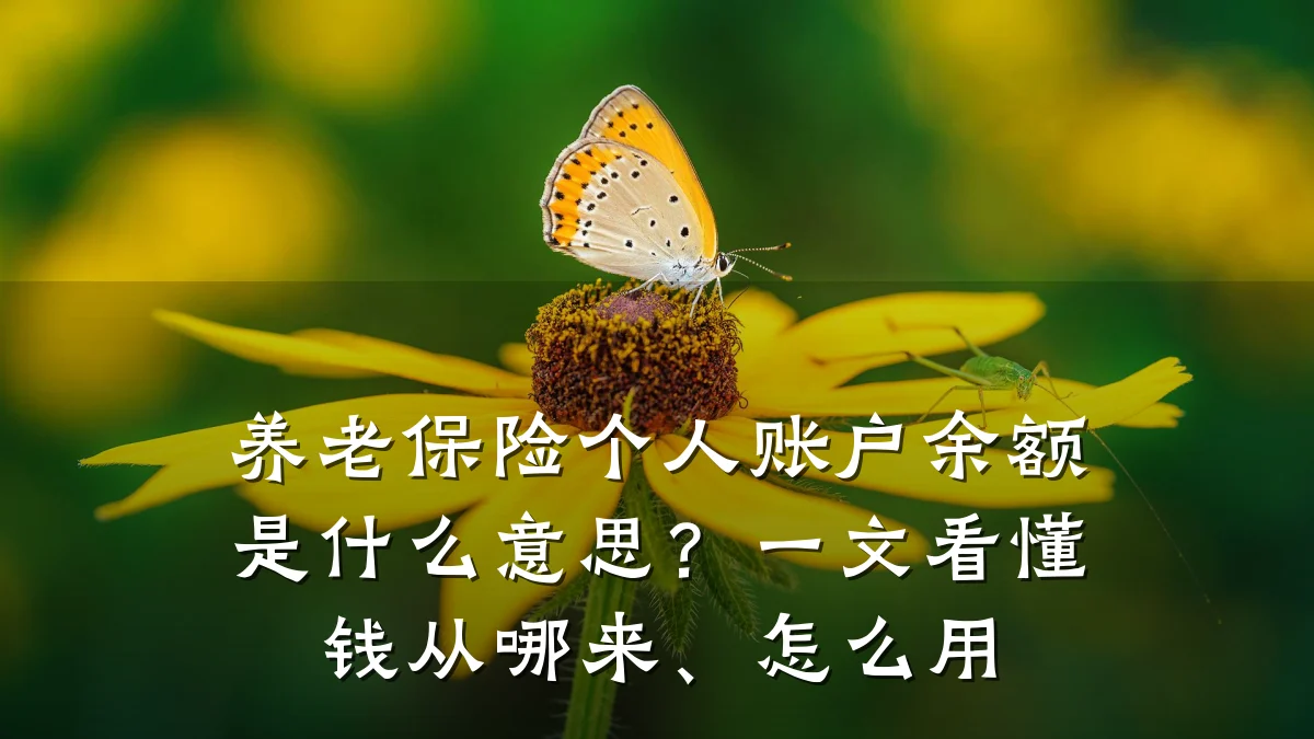 养老保险个人账户余额是什么意思?一文看懂钱从哪来、怎么用