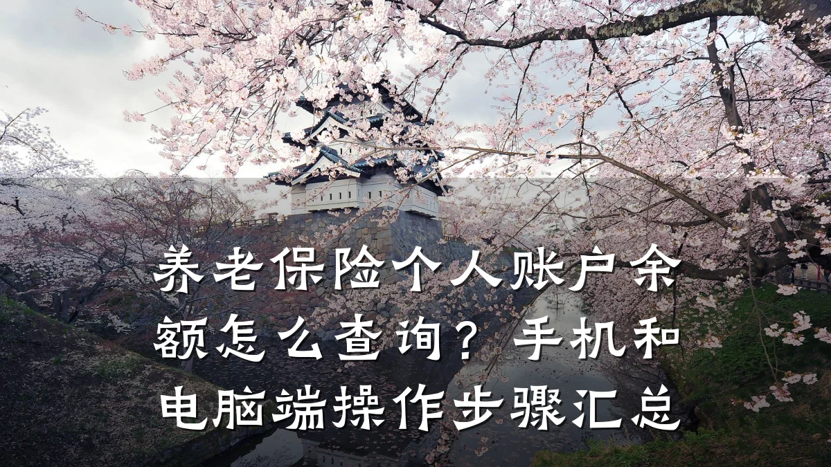 养老保险个人账户余额怎么查询?手机和电脑端操作步骤汇总