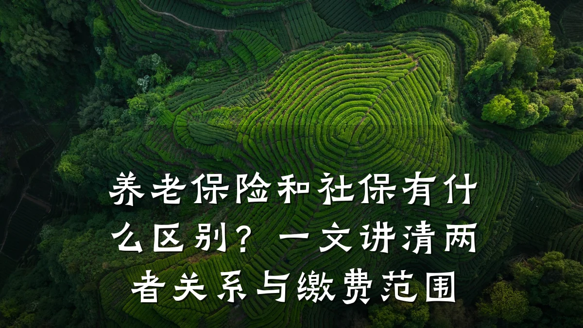 养老保险和社保有什么区别?一文讲清两者关系与缴费范围