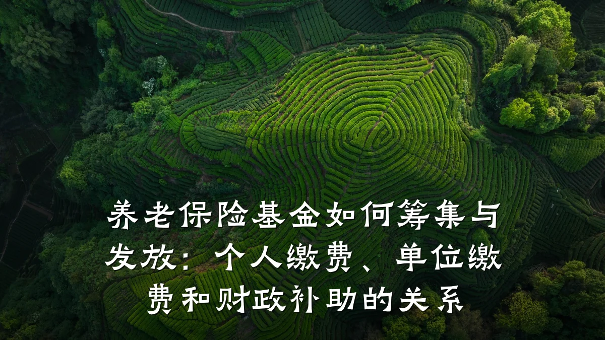 养老保险基金如何筹集与发放:个人缴费、单位缴费和财政补助的关系