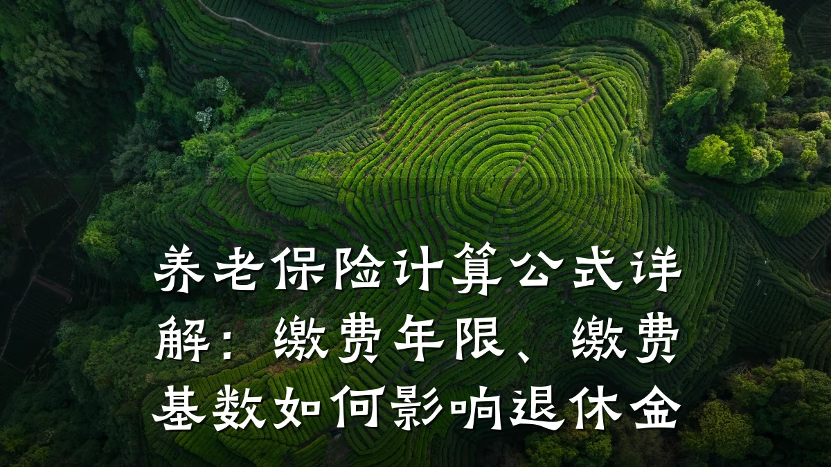 养老保险计算公式详解:缴费年限、缴费基数如何影响退休金
