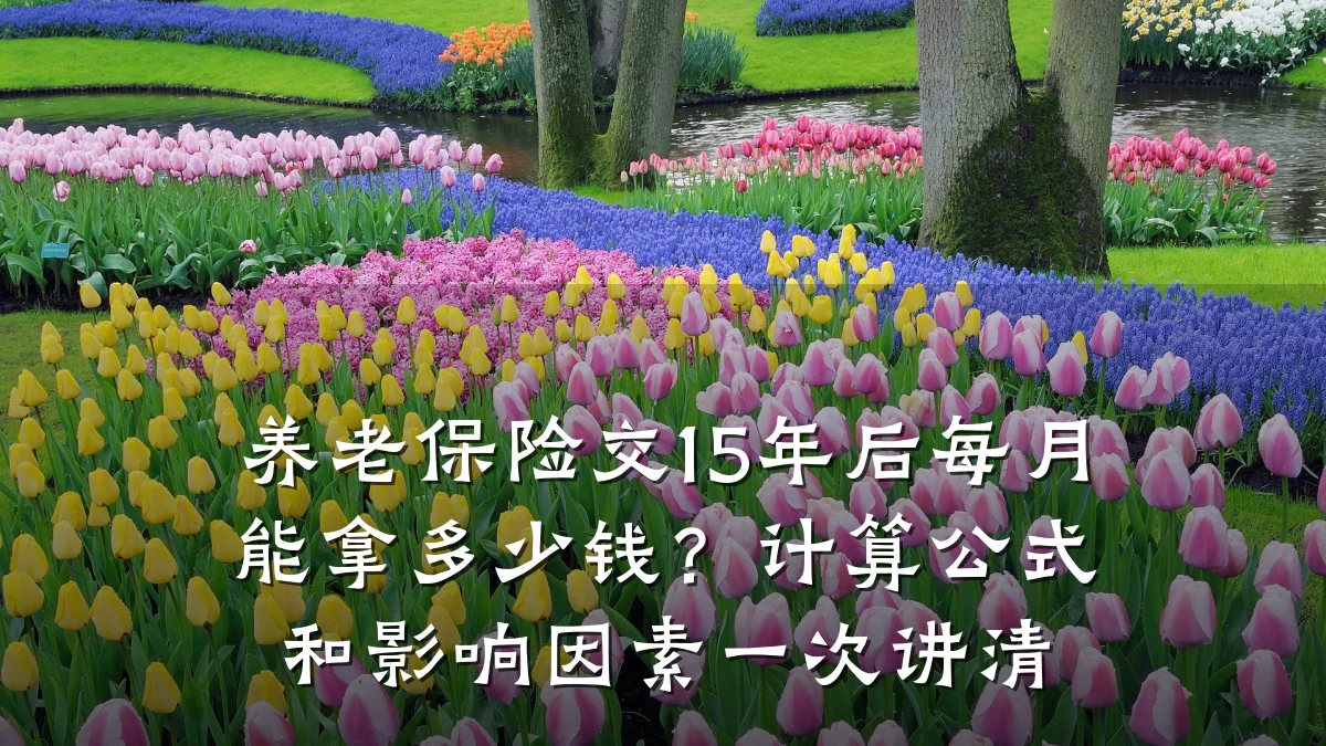 养老保险交15年后每月能拿多少钱?计算公式和影响因素一次讲清