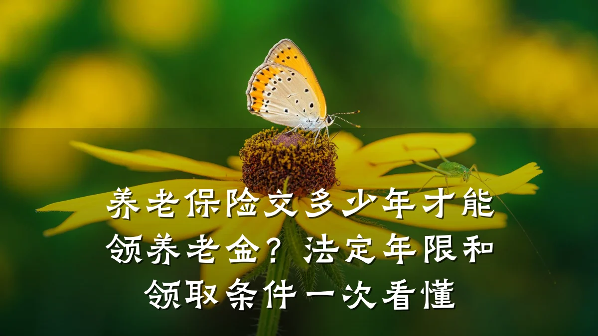 养老保险交多少年才能领养老金?法定年限和领取条件一次看懂