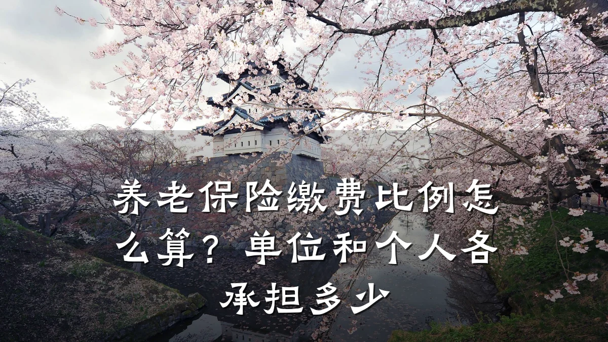 养老保险缴费比例怎么算?单位和个人各承担多少