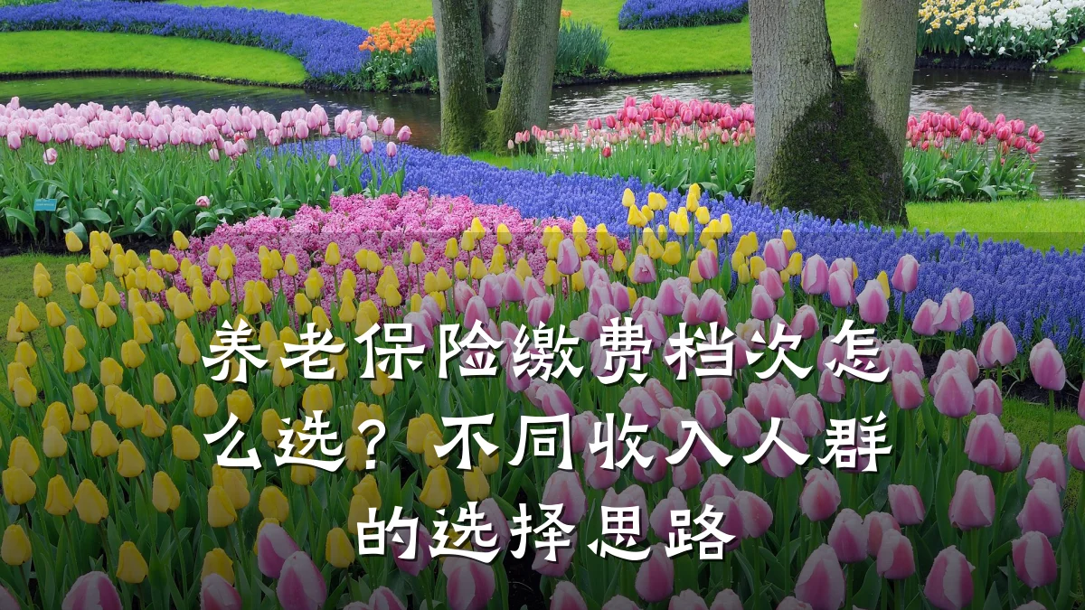 养老保险缴费档次怎么选？不同收入人群的选择思路