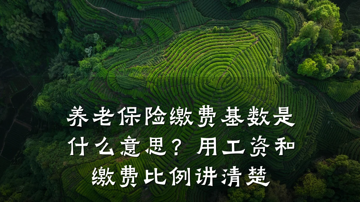 养老保险缴费基数是什么意思?用工资和缴费比例讲清楚