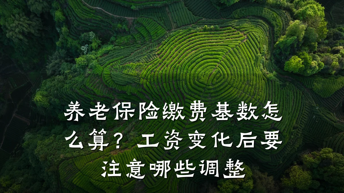 养老保险缴费基数怎么算？工资变化后要注意哪些调整