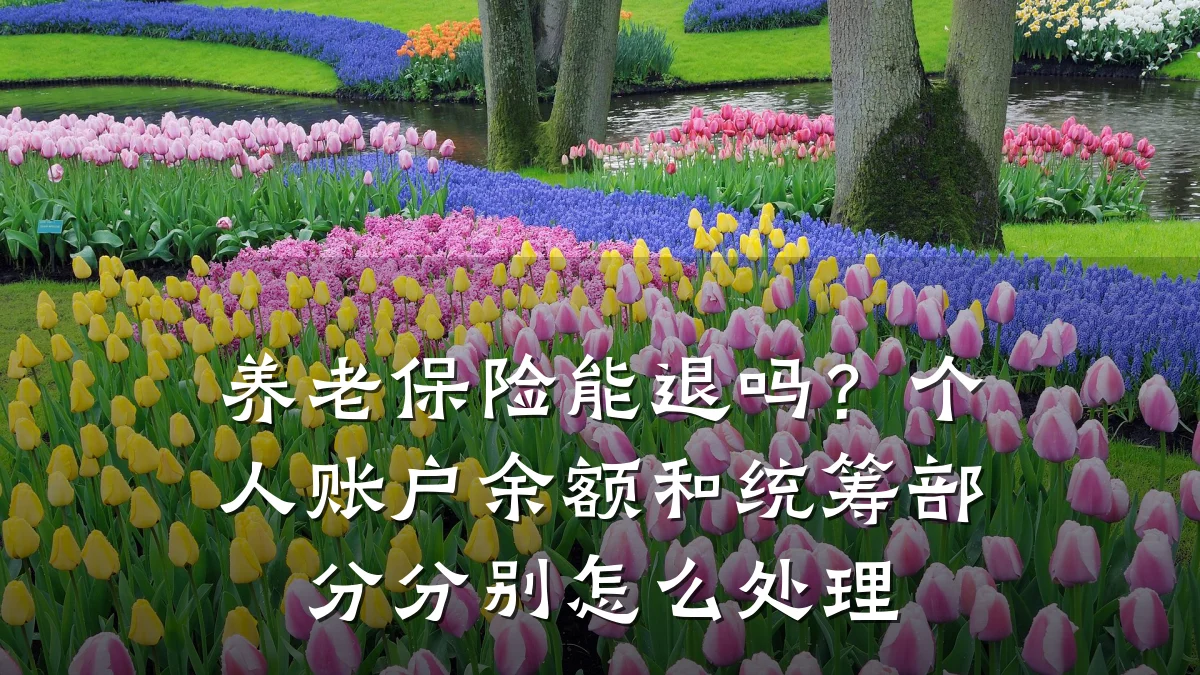 养老保险能退吗?个人账户余额和统筹部分分别怎么处理