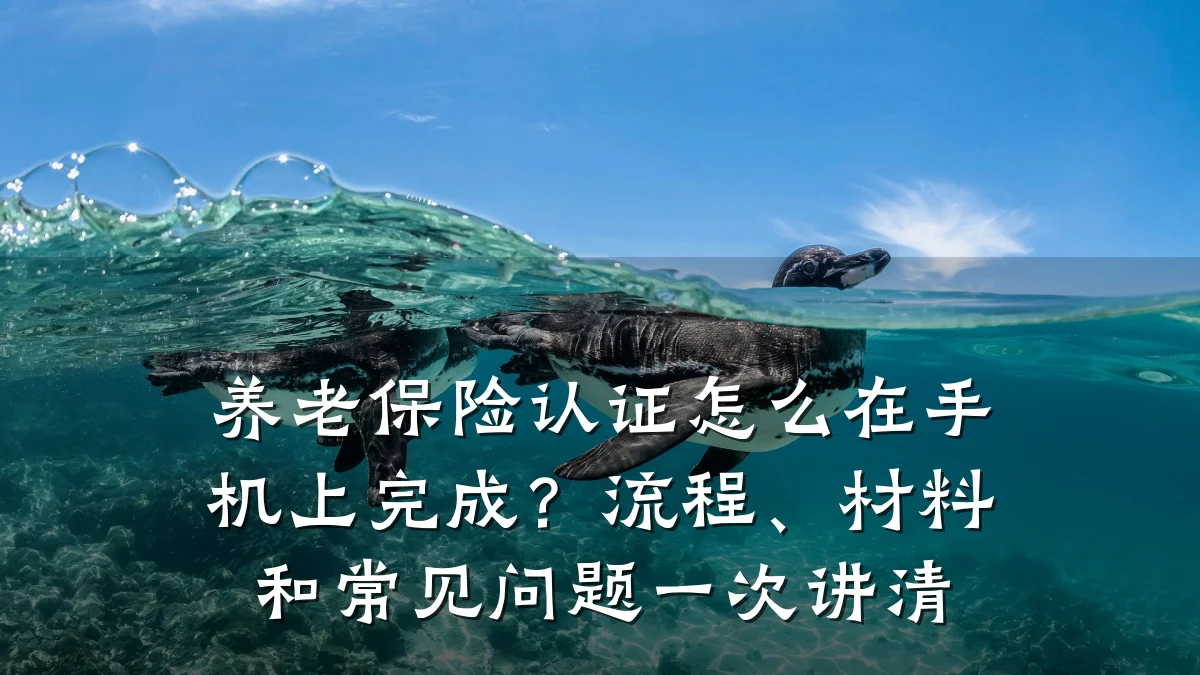 养老保险认证怎么在手机上完成?流程、材料和常见问题一次讲清