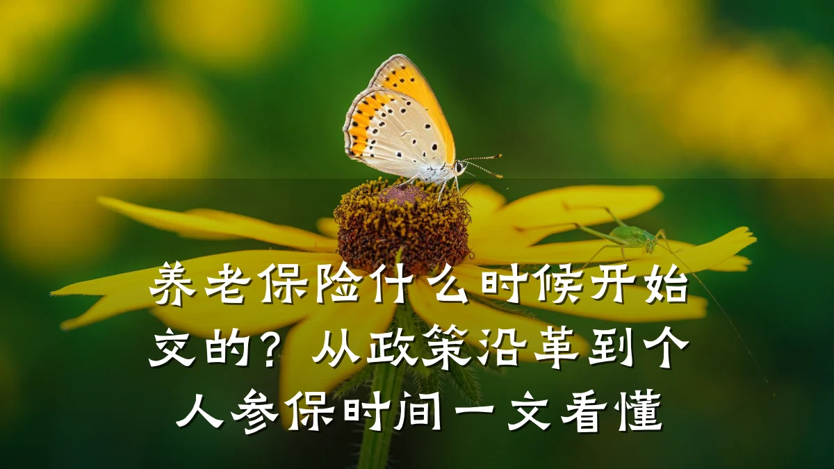 养老保险什么时候开始交的?从政策沿革到个人参保时间一文看懂