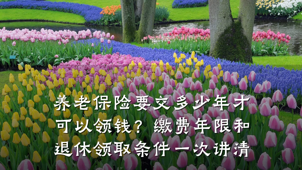 养老保险要交多少年才可以领钱？缴费年限和退休领取条件一次讲清
