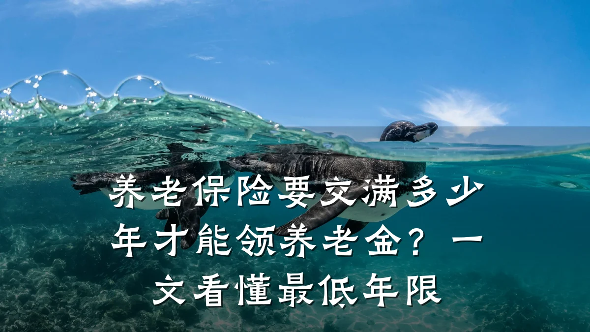 养老保险要交满多少年才能领养老金?一文看懂最低年限