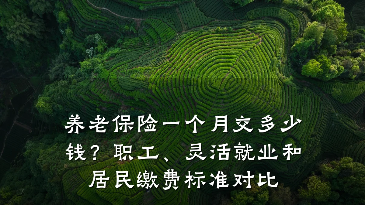 养老保险一个月交多少钱？职工、灵活就业和居民缴费标准对比