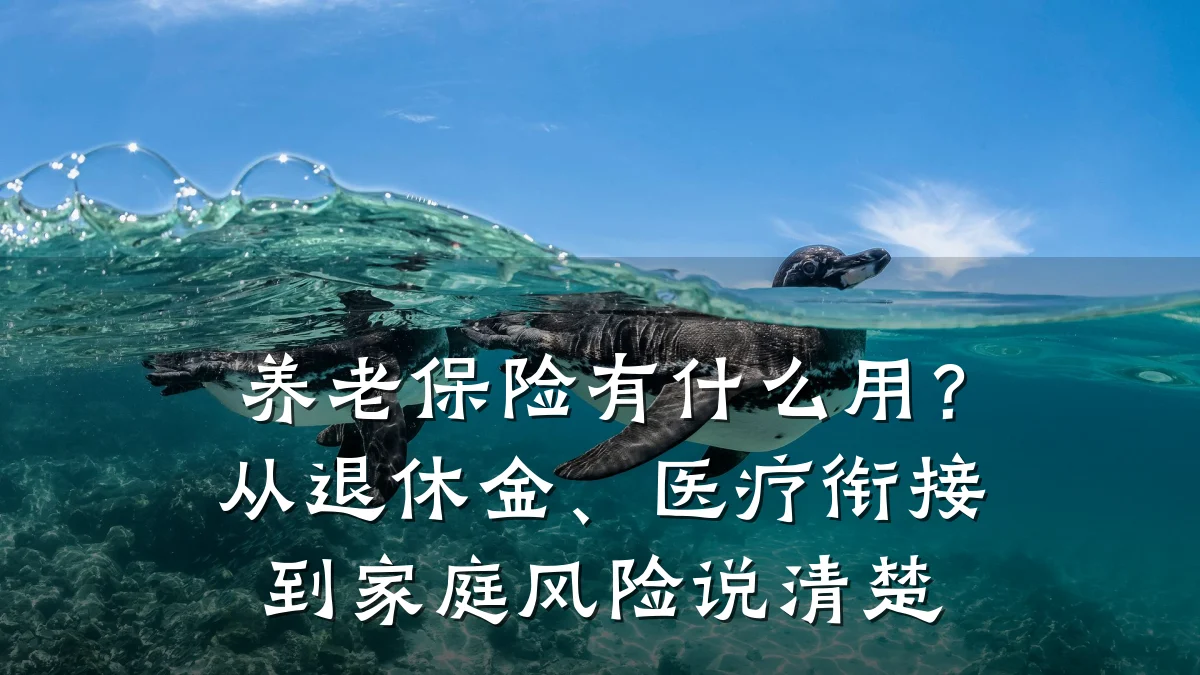 养老保险有什么用?从退休金、医疗衔接到家庭风险说清楚