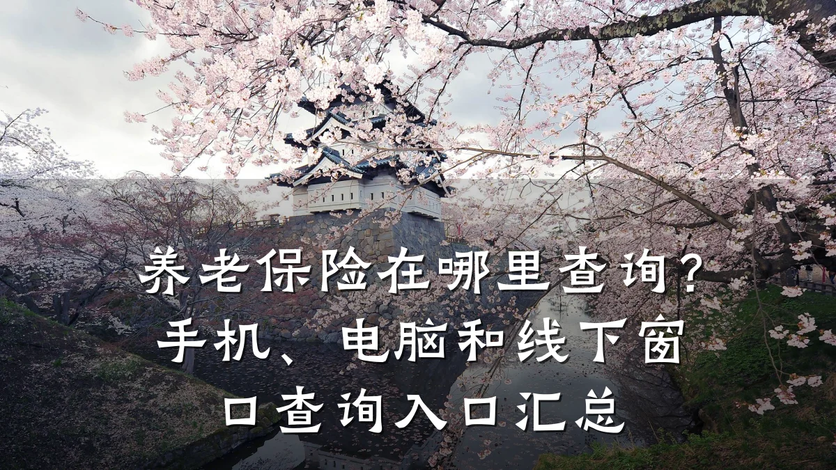 养老保险在哪里查询？手机、电脑和线下窗口查询入口汇总