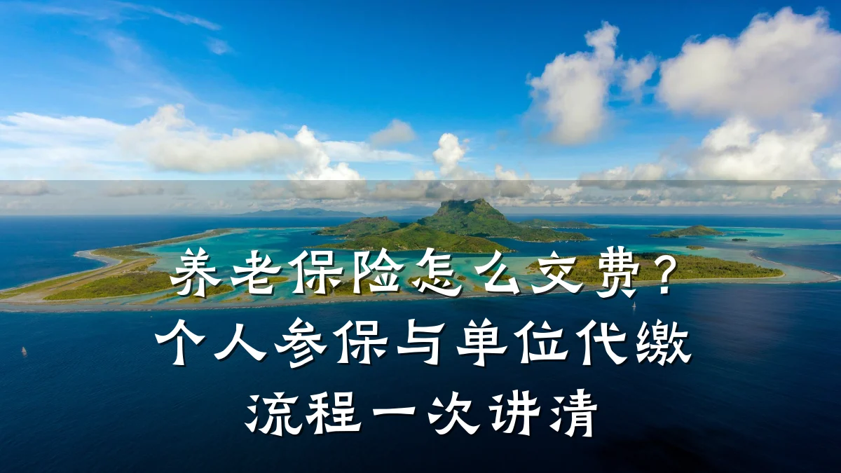养老保险怎么交费?个人参保与单位代缴流程一次讲清