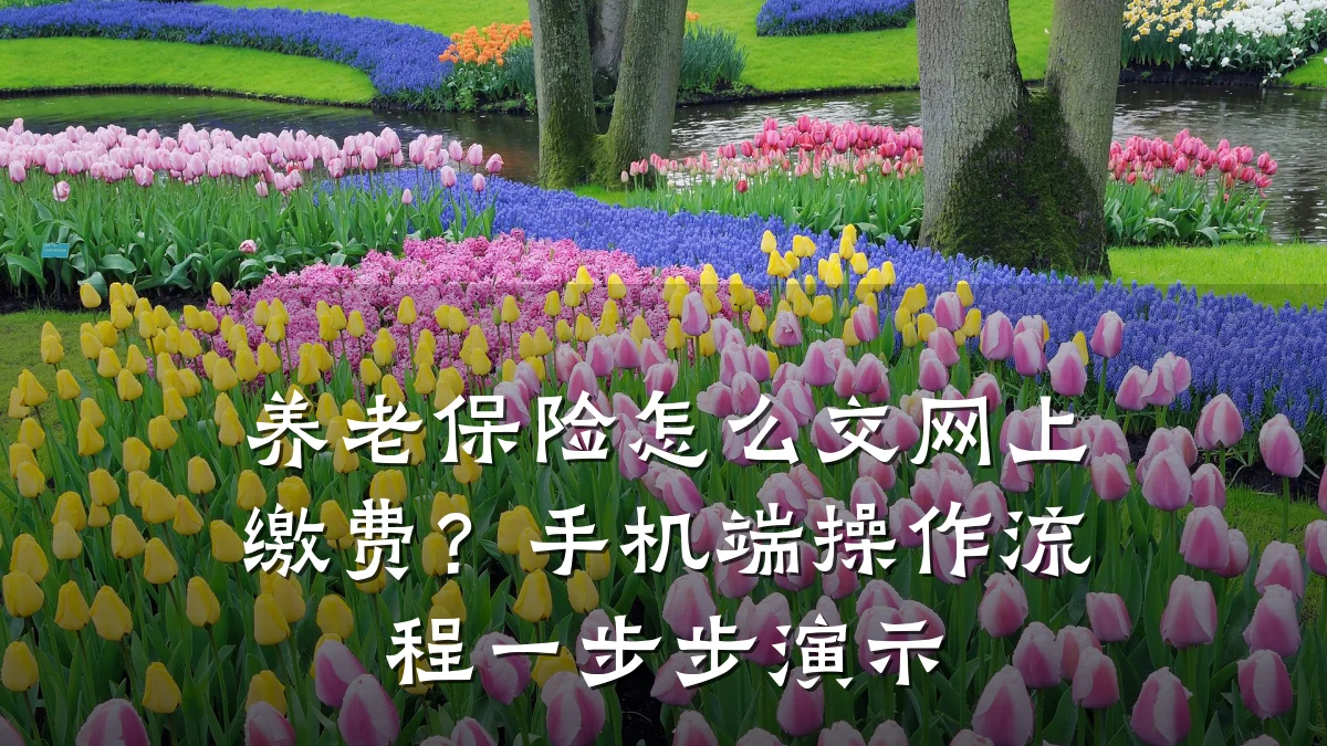 养老保险怎么交网上缴费?手机端操作流程一步步演示