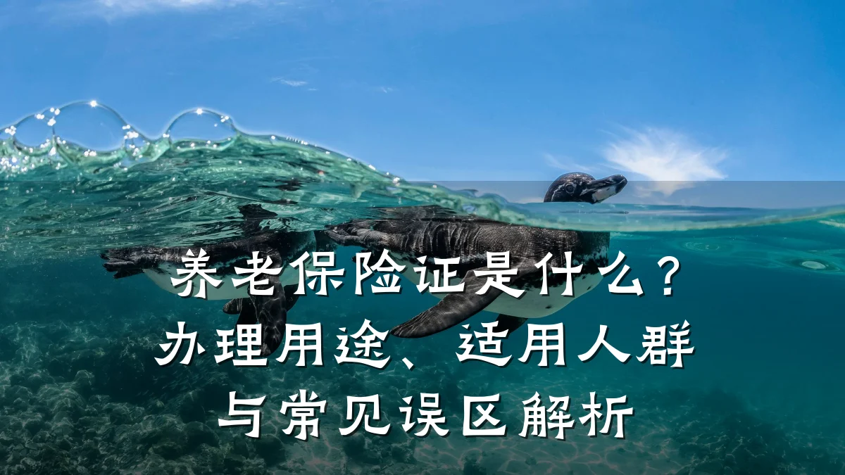 养老保险证是什么?办理用途、适用人群与常见误区解析