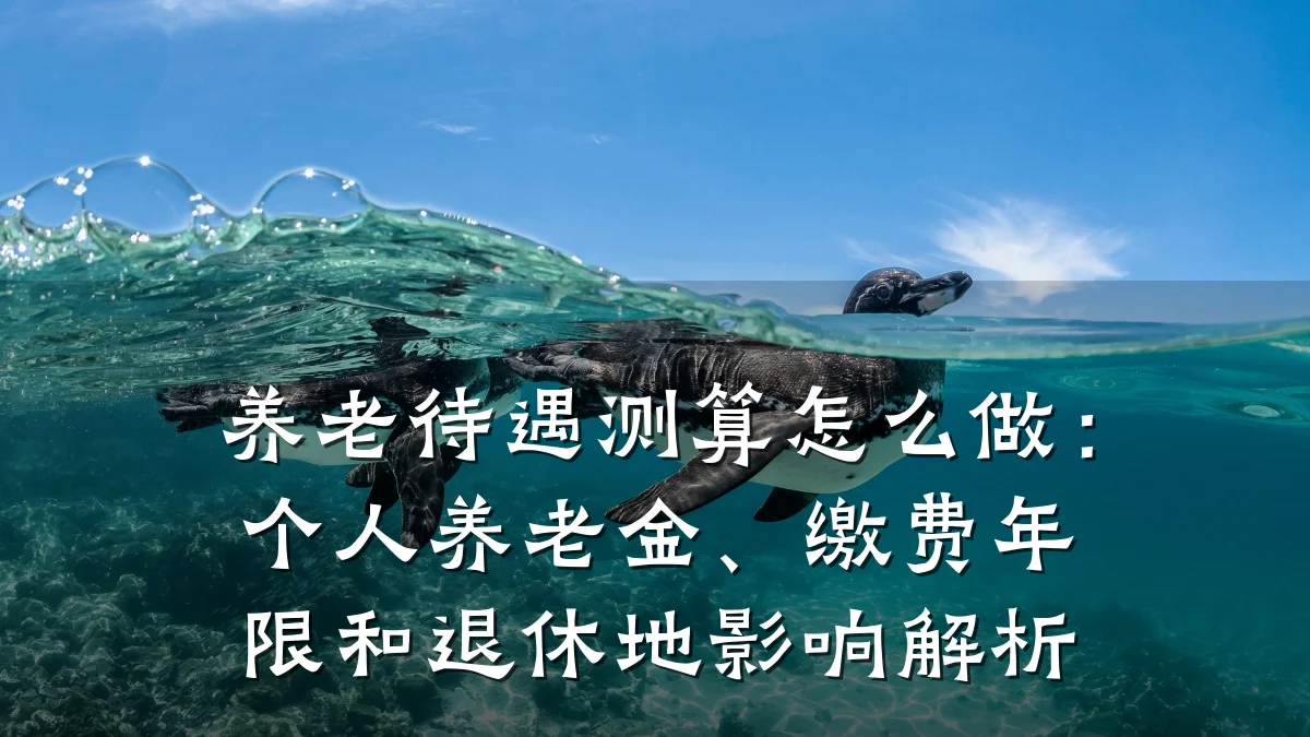 养老待遇测算怎么做:个人养老金、缴费年限和退休地影响解析