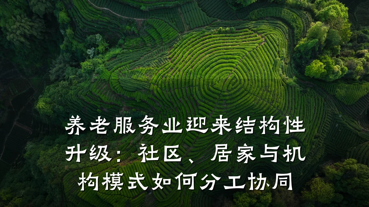 养老服务业迎来结构性升级:社区、居家与机构模式如何分工协同