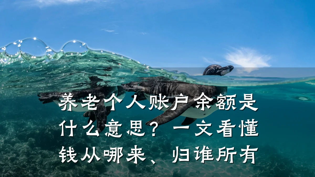 养老个人账户余额是什么意思？一文看懂钱从哪来、归谁所有