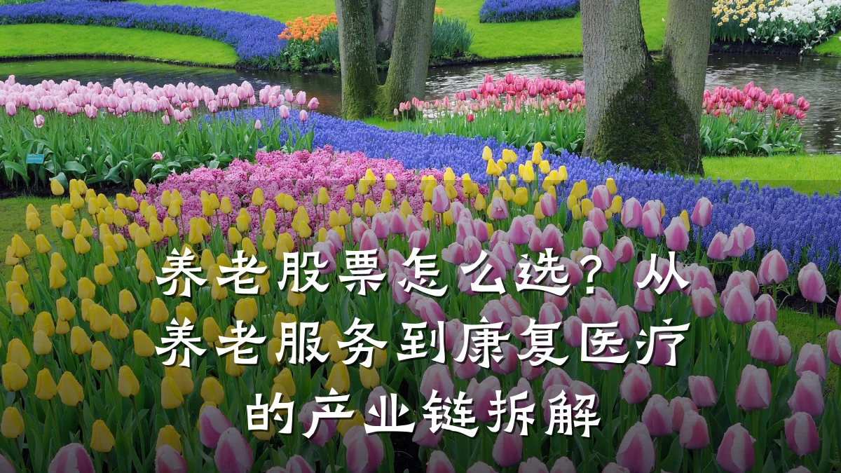 养老股票怎么选？从养老服务到康复医疗的产业链拆解