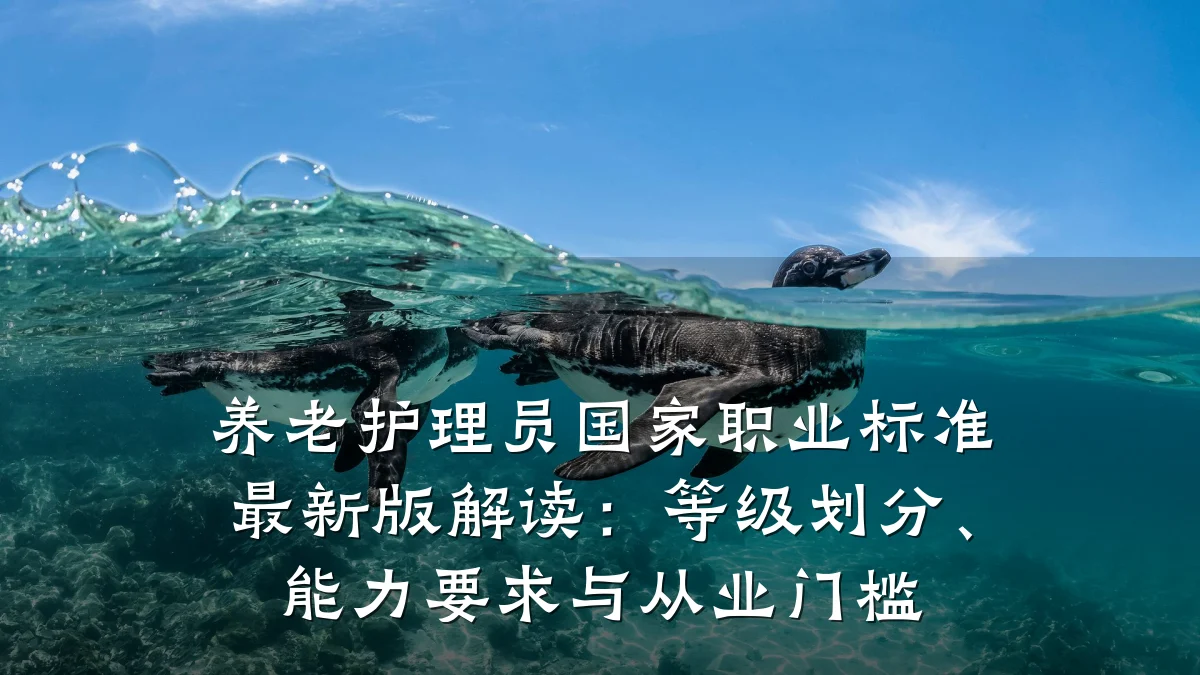 养老护理员国家职业标准最新版解读：等级划分、能力要求与从业门槛