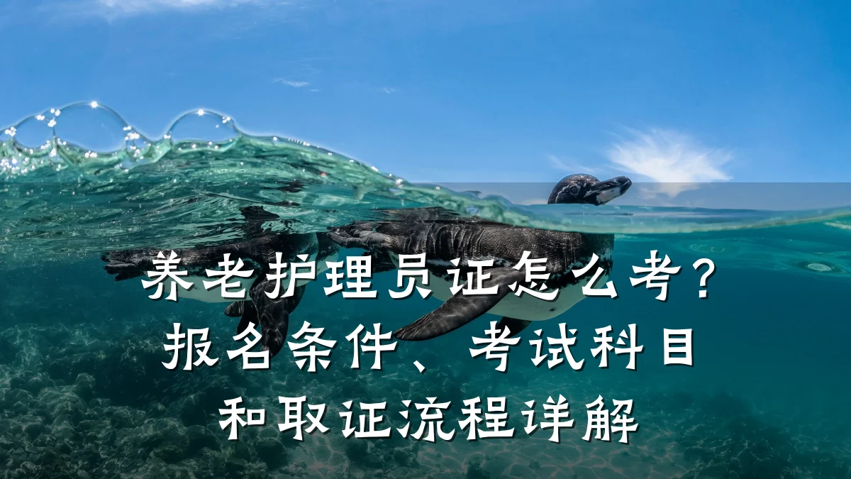 养老护理员证怎么考?报名条件、考试科目和取证流程详解
