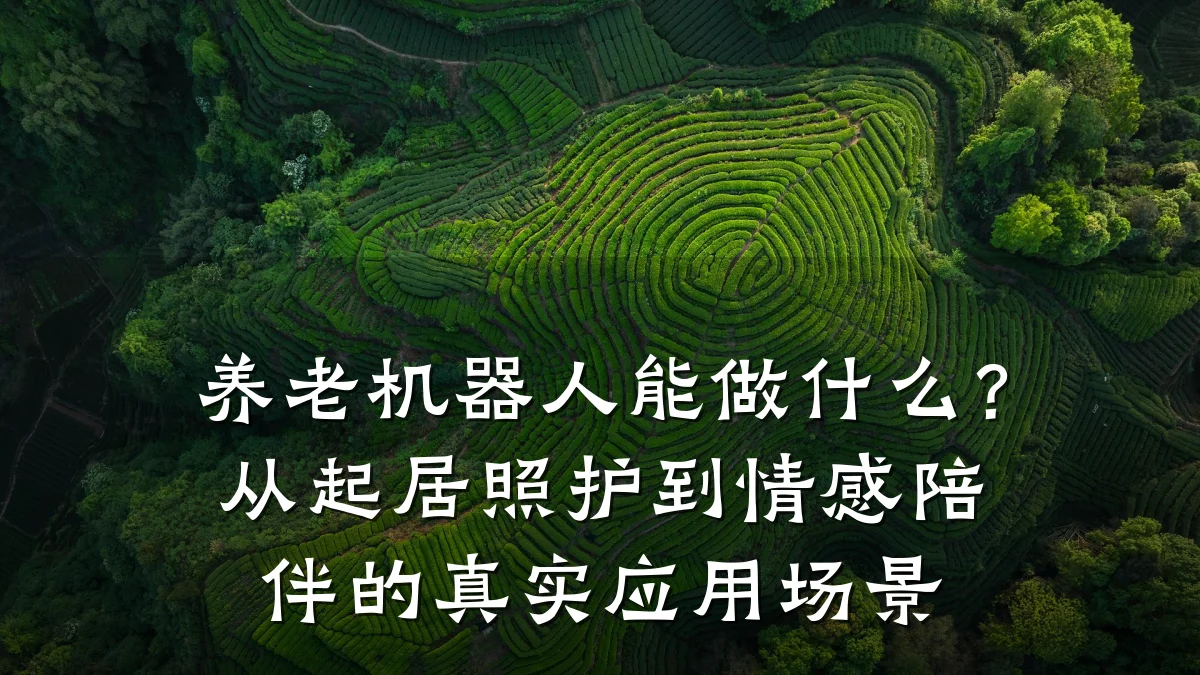 养老机器人能做什么?从起居照护到情感陪伴的真实应用场景