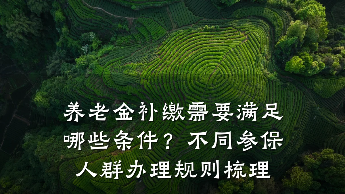 养老金补缴需要满足哪些条件？不同参保人群办理规则梳理