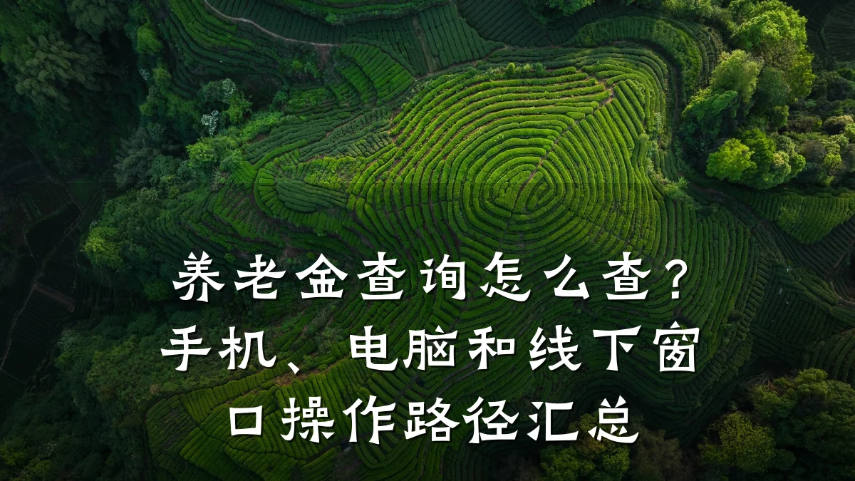 养老金查询怎么查?手机、电脑和线下窗口操作路径汇总