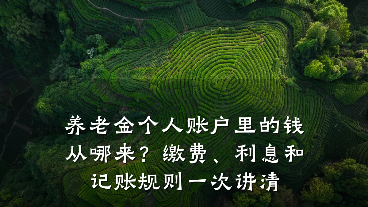 养老金个人账户里的钱从哪来？缴费、利息和记账规则一次讲清
