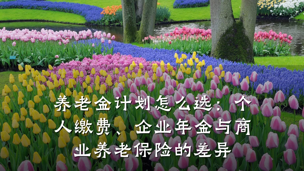 养老金计划怎么选:个人缴费、企业年金与商业养老保险的差异