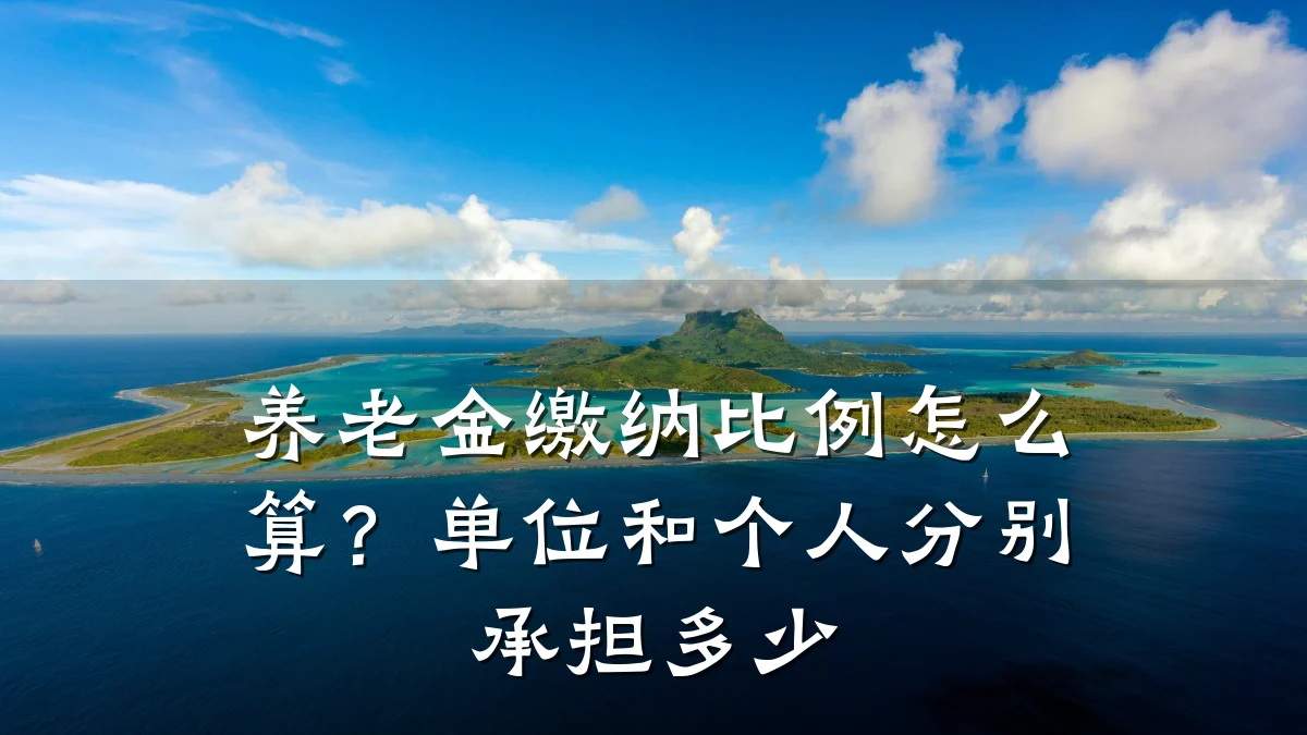 养老金缴纳比例怎么算?单位和个人分别承担多少