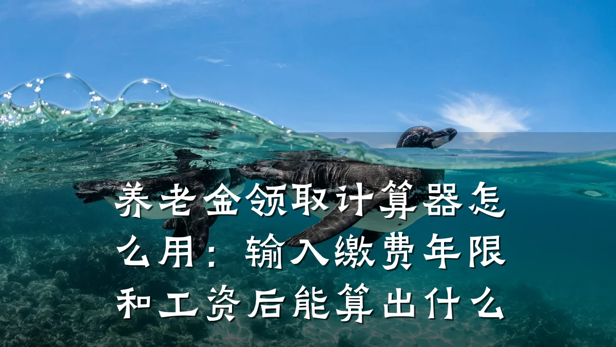 养老金领取计算器怎么用:输入缴费年限和工资后能算出什么
