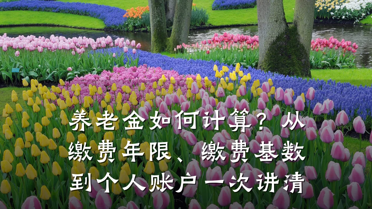 养老金如何计算?从缴费年限、缴费基数到个人账户一次讲清