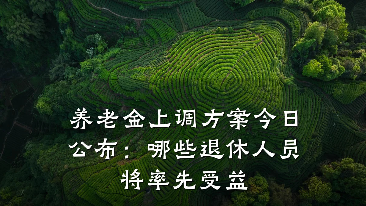 养老金上调方案今日公布：哪些退休人员将率先受益