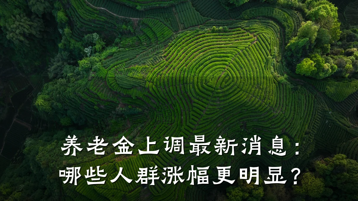 养老金上调最新消息：哪些人群涨幅更明显？