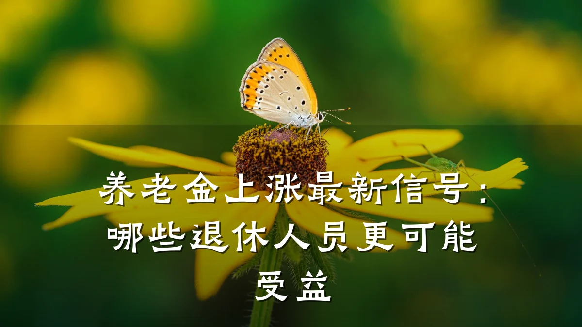 养老金上涨最新信号：哪些退休人员更可能受益