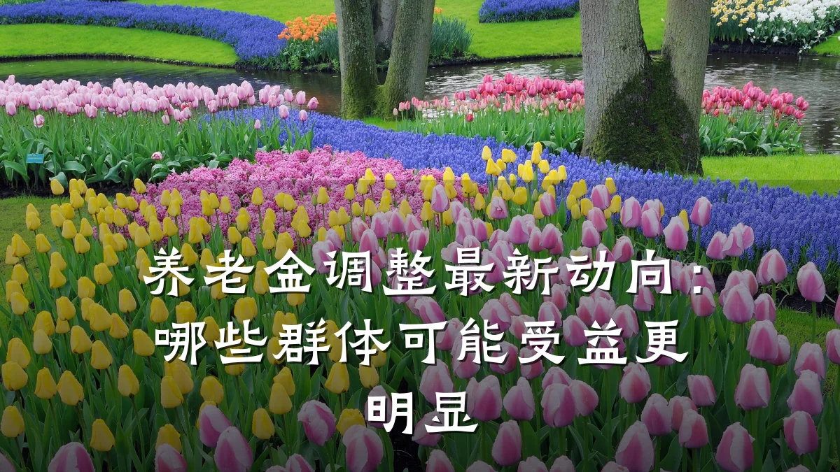 养老金调整最新动向：哪些群体可能受益更明显