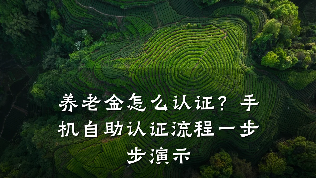 养老金怎么认证?手机自助认证流程一步步演示
