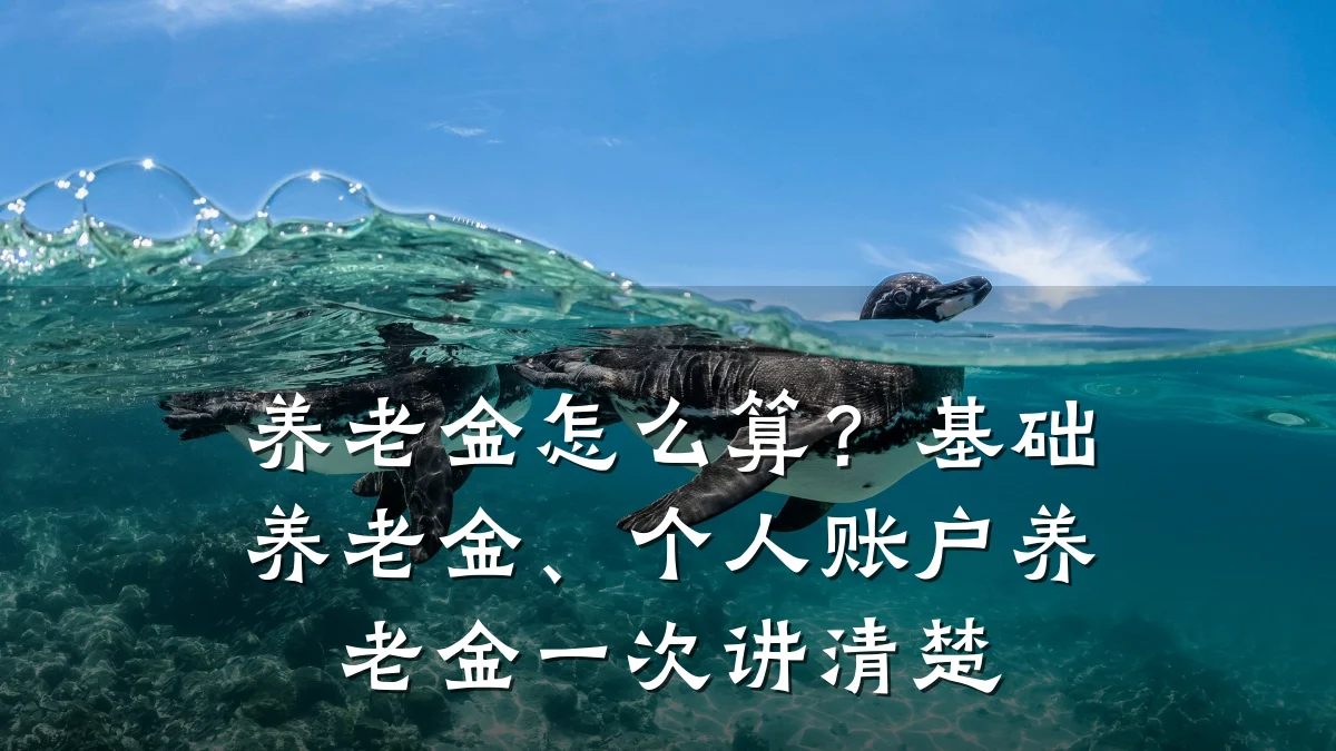 养老金怎么算？基础养老金、个人账户养老金一次讲清楚