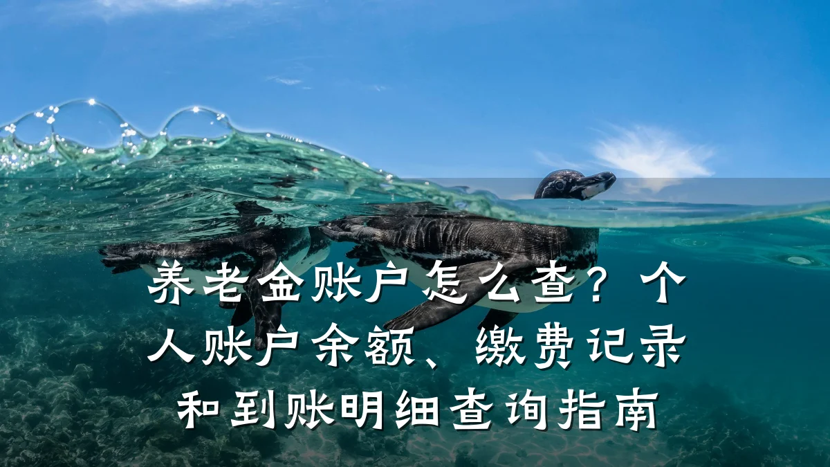 养老金账户怎么查?个人账户余额、缴费记录和到账明细查询指南