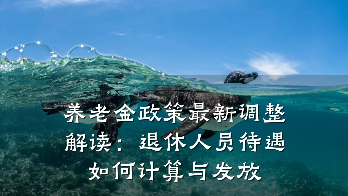 养老金政策最新调整解读:退休人员待遇如何计算与发放