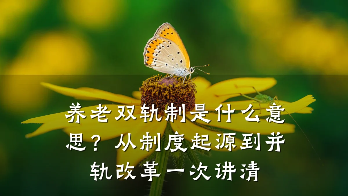 养老双轨制是什么意思?从制度起源到并轨改革一次讲清