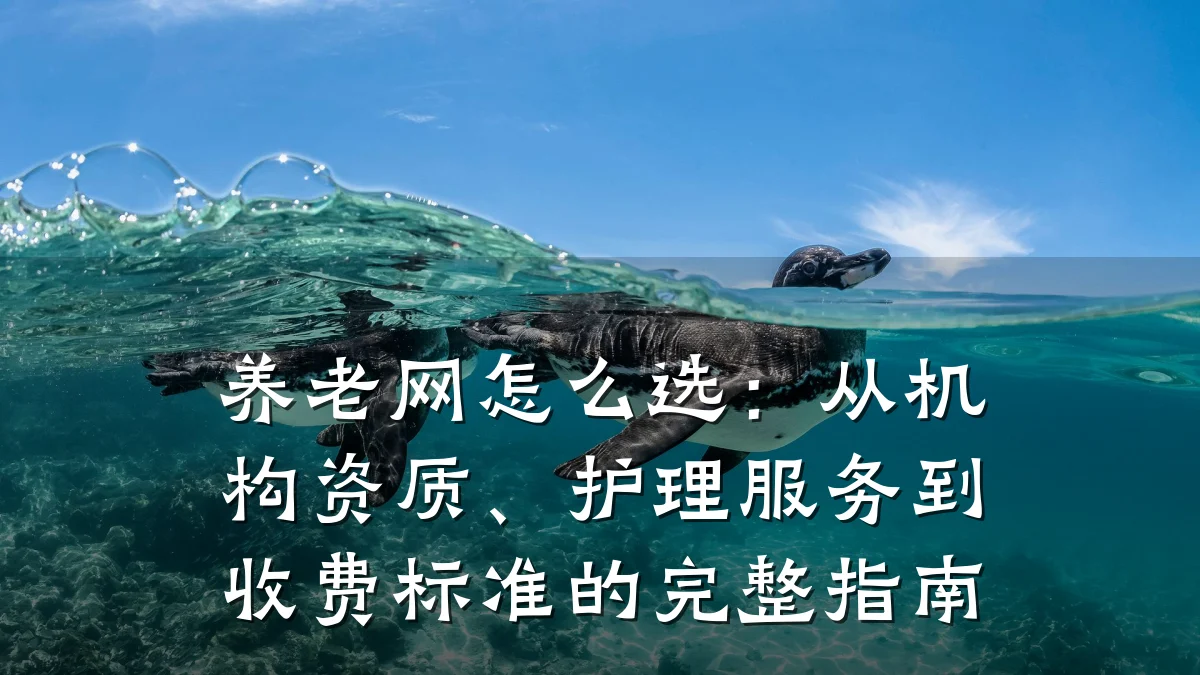 养老网怎么选:从机构资质、护理服务到收费标准的完整指南