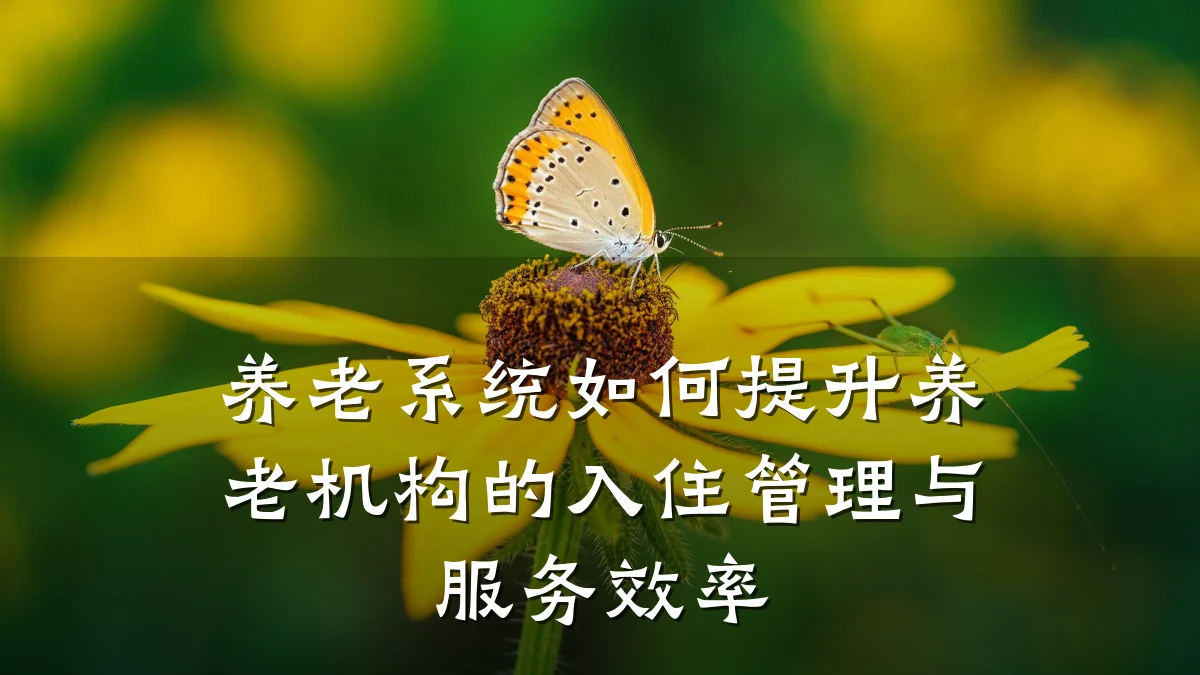养老系统如何提升养老机构的入住管理与服务效率